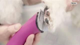 WAHL - Creativa Cordless Animal Clipper