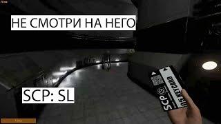 SCP:SL | ГОНЯЮ ОХРАНУ | СМЕШНЫЕ МОМЕНТЫ (НАРЕЗКА)