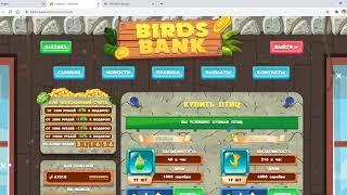 Birds Bank итог за прошедший месяц