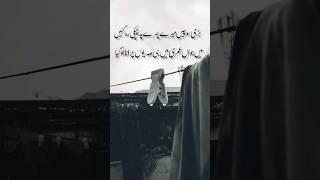 Painful Lines Status | Sad Shayri Whatsapp Status | urdu Poetry #shorts #shayari #shayri #sadlines