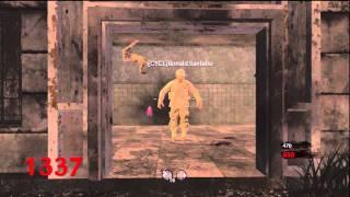 | Funny No-Clip Positions | ISO | CoD WaW | 2011 |