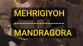 MANDRAGORA o'simligiMehrigiyoh#qadimgi shifo#mifologiya#bu juda qiziq#sehrli olam️