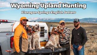 Wyoming Upland Hunting: Flanagan Springs Kennel English Setters