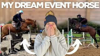 BUYING MY DREAM EVENT HORSE | VLOGMAS 1