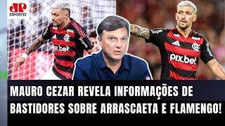 "EU APUREI que o Flamengo NÃO FARÁ ISSO! NÃO TEM O MENOR SENTIDO o..." Mauro Cezar ABRE O JOGO!