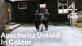 What Happened Right Before Jewish Concentration Camps Were Liberated? | Auschwitz Untold: In Colour