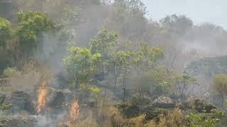 गायरान जाळून टाकण्याचा प्रयत्न परनिंदा पशुहिंसक ॥ सावरगाव वनक्षेत्र