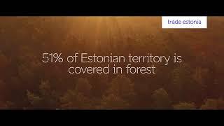 Estonian wooden house industry – #1 wooden house exporter in Europe