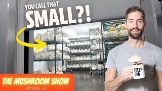 Inside a HUGE Mushroom Farm that's Disrupting the Produce Market (The Mushroom Show Ep 10)