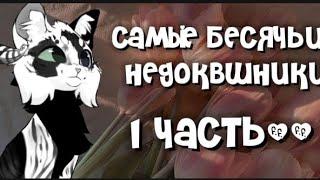 недоквшники которые меня очень сильно бесят #котывоители #кв