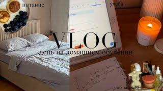 VLOG: день на домашнем обучении, питание, уход за кожей//// AngelinaTs