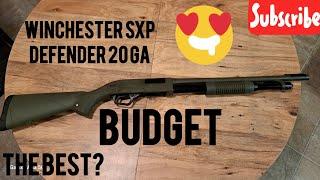 Winchester SXP Defender 20 GA. The BEST 20 ga shotgun???