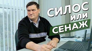 СИЛОС или СЕНАЖ?