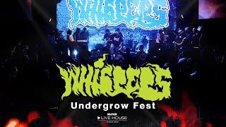 Whispers - Undergrow Fest @Mr.FOX Live House