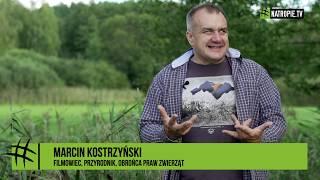 Marcin Kostrzyński na tropie łosi