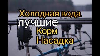 Лучшие корм и насадка в холодной воде. Ловля карпа весной.