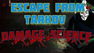 12.12 EFT Health & Damage Explained: Tarkov science