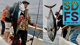 Bluefin Tuna Fishing 100 Miles Offshore at Tanner Bank on Horizon Sportfishing San Diego H&M Landing