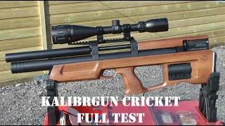 REVIEW: Kalibrgun Cricket Air Rifle - The Truth