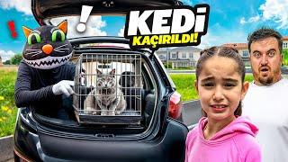 KEDİ HIRSIZI SİTEDE GEZİYOR ‼️ EYVAH ELİF HIRSIZ BÜCÜRÜ KAÇIRDI !!