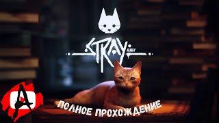 Stray  #Игрофильм  Полное прохождение  Без комментариев