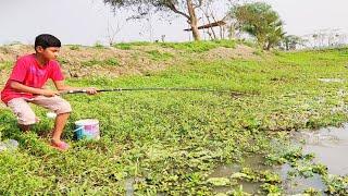 Hook ~ Traditional Hook Fishing ~ Fish king Bd