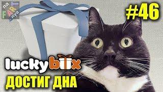 Сюрприз бокс для кота lucky box. ЖЕСТЬ! Распаковка и обзор. НЕ ПОКУПАЙ!