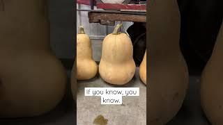 Garden Humor
