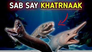 Top 3 Most Dangerous Sharks !