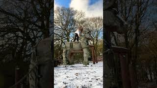 Dance on a Horse #dance #shortsvideo #foryou #funny ￼