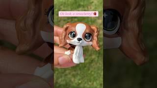 An accurate description of the artistic process  #lps #lpscustom #littlestpetshop #lpscollection