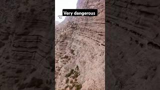 Risky Goat Path Caught on Camera part 2 #viralvideo #viral #goatrescue #animals