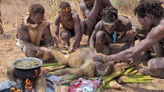 See how hadzabe tribe use bow and arrow to hunt baboons for survival in the wilderness, bush life