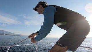 Peche à la mouche en mer Méditerranée sur petites chasses de bonites !!!