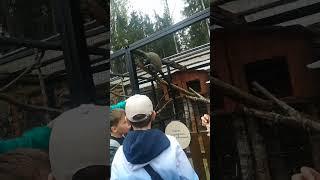 24 мая 2023 г.