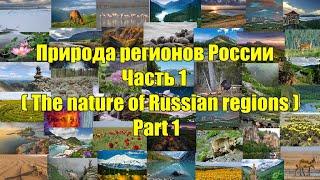 Природа регионов России. Часть1. (The nature of Russian regions. Part 1).