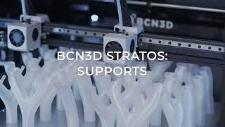 Generating the Supports - BCN3D Stratos