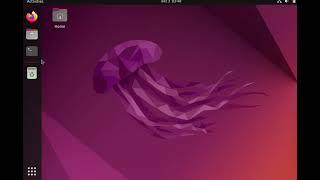 Howto start apache with a custom port and a custom hostname