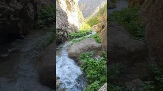 Nature of Uzbekistan