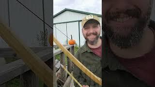 Mastering arrow point survival skills #burningriverbushcraft #survival
