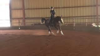 250518 Green Campbell Hahn on Wallas Tinker Whiz