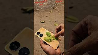 Colour changing mobile Vivo y100 #shorts #vivoy100