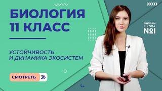 Устойчивость и динамика экосистем. Видеоурок 29. Биология 11 класс