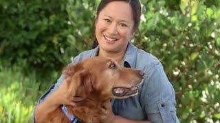 Dog Grooming & Dog Care (Petco)