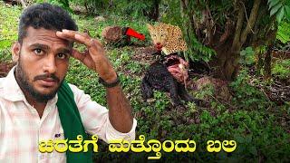 ಚಿರತೆ ಬೇಟೆ ನೋಡಿ | Leopard Attack Dog | Village life | Avatar Shiva Official