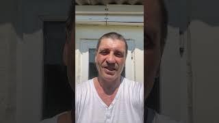 Идеально качественный газон? 3 июня 2025 г. #газоннаятрава #трава #лужайка
