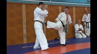 КАК БИТЬ УДАР УШИРО ГЕРИ (Ushiro Geri)