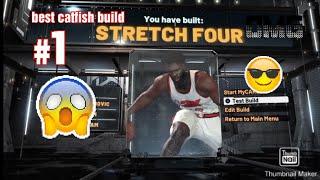 BEST CATFISH !!!!BUILD IN THE GAME NBA 2K21 STRETCH GAWD BUILD CAN DO IT ALL!!!!!!!