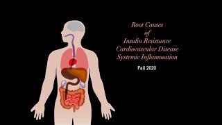 The Advanced Pathophysiology of Insulin Resistance, Metabolic Syndrome, and Cardiovascular Disease