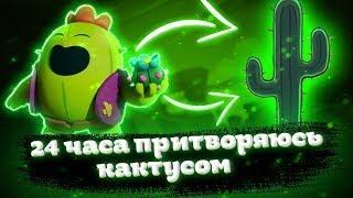 Притворяюсь кактусом Афк Challenge Brawl Stars (Прикидаюся кактусом АФК Challenge Brawl Stars)